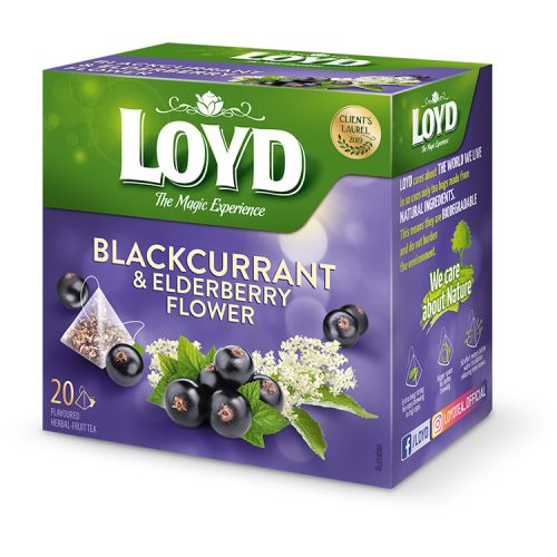 Loyd piramis tea feketerib-bodza 40g