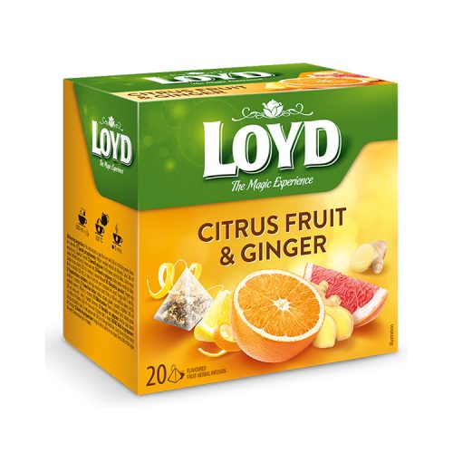 Loyd piramis tea citrus fruit-gyömbér 40g