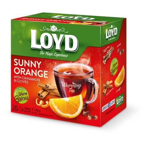 Loyd piramis HOT tea narancs-fahéj 40g
